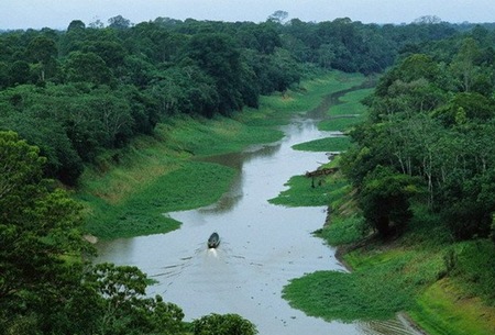 Самая длинная река - Амазонка