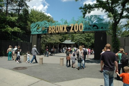 Бронксский зоопарк