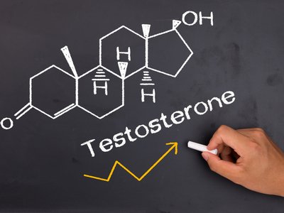 Поднять тестостерон