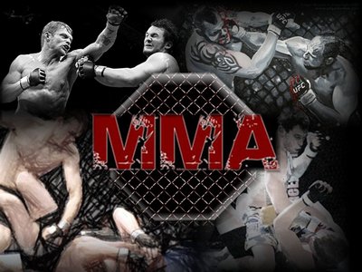 бойцы MMA